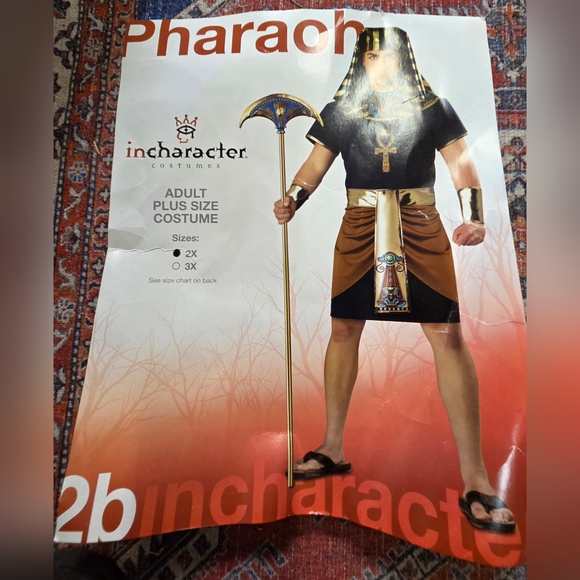 InCharacter Men's Pharaoh Costume - Black and Gold - Picture 1 of 4